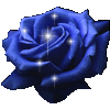 rose bleue